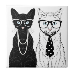 Casal do gato