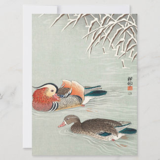 Casal Mandarin Duck Design | Presente Ideal