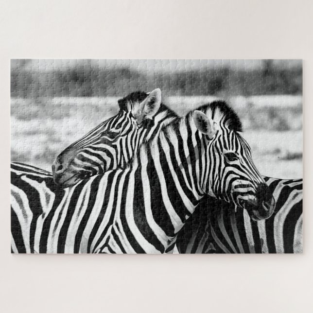 Casal Zebra doce, preto e branco, Quebra-cabeça de (Horizontal)