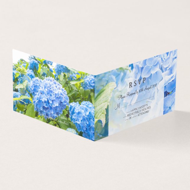 Casamento bonito com a hydrangea azul (Exterior)