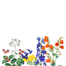 Casamento Colorido Floral de Primavera Flor de Flo