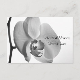 Casamento com Orquídea Branca - Notas agradáveis