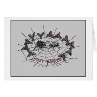 Casamento da aranha e do cartão da mosca