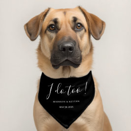 Casamento de Cães