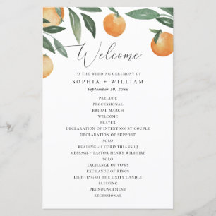 Casamento de citros de aquarela. Programa floral d