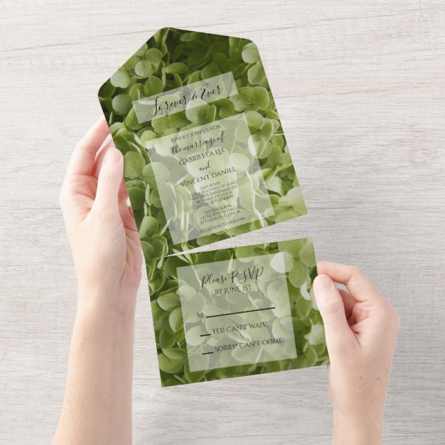 Casamento de Flores de Annabelle Hydrangea Green (Tearaway)