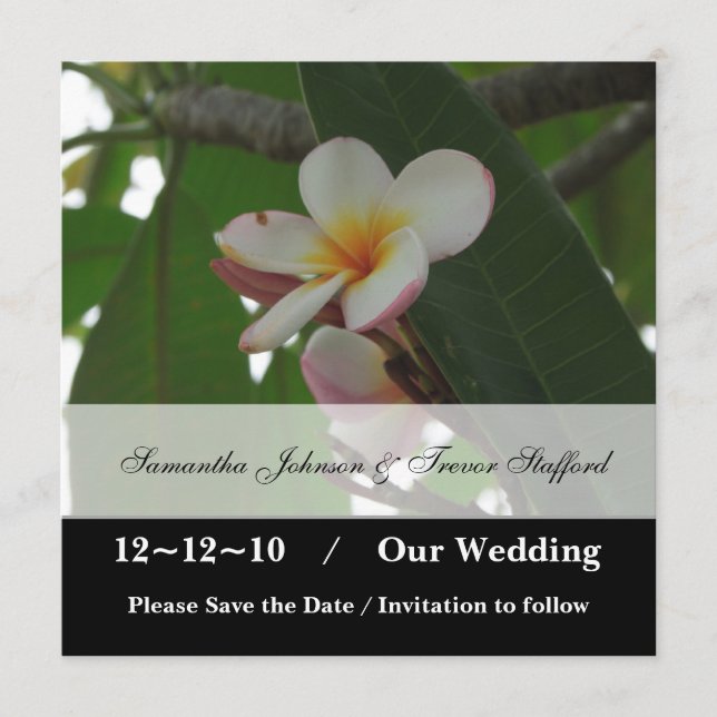 Casamento de Frangipani Salve os anúncios de data (Frente)