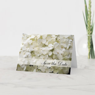 Casamento de Hydrangea Branca Salvar o Anúncio de