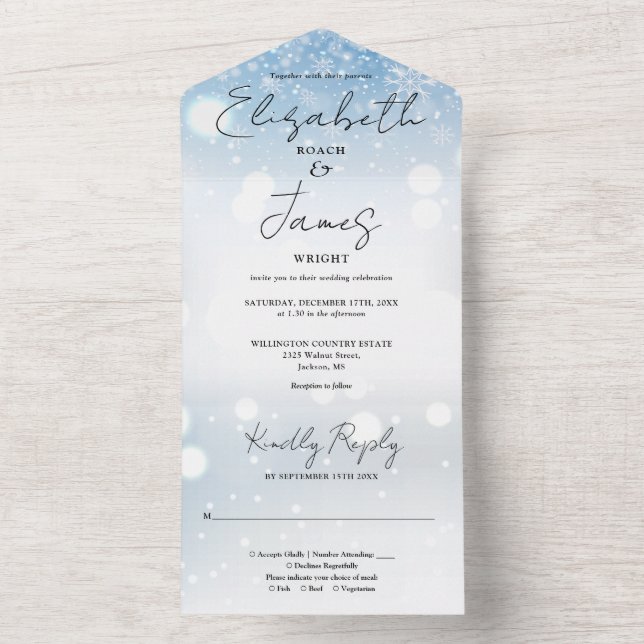 Casamento de Inverno de Flocos de Neve com Grafia  (Interno)