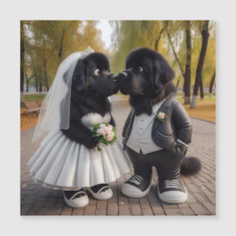 Casamento de newfs