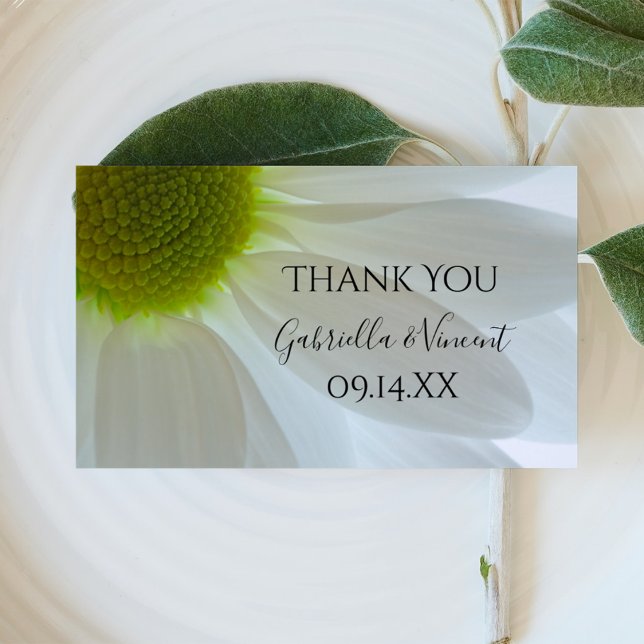 Casamento De Pétalas Brancas De Margarida Obrigado (Criador carregado)