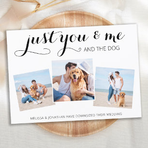 Casamento Simplificado Cachorro Micro Anúncio de C