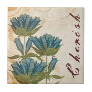 Casamento vintage de Flores Azul
