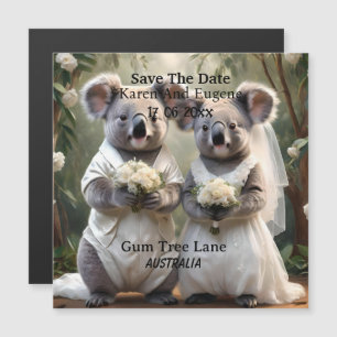 Casamento White Australiano Koala Bear
