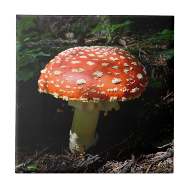 Cascades Centrais, Estado de Washington (Frente)