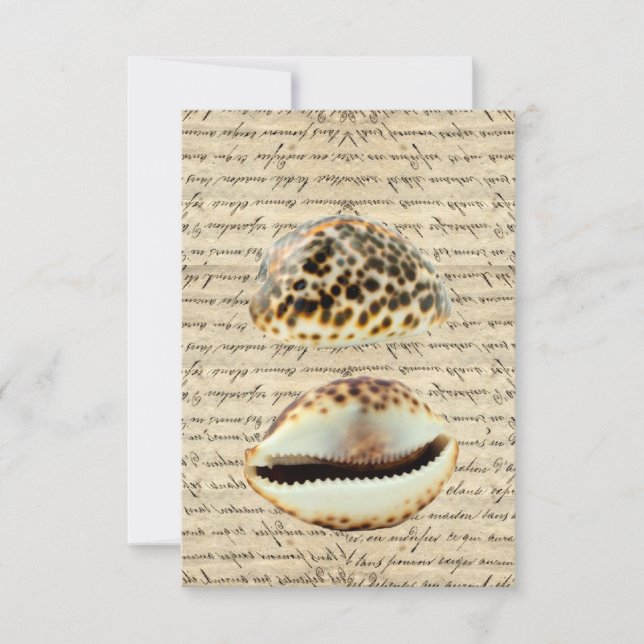 Cascas de Cowrie (Frente)