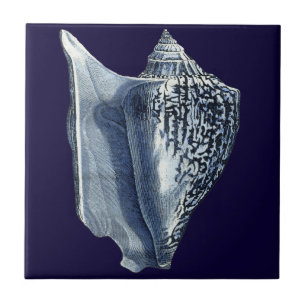 Cascas de Indigo I