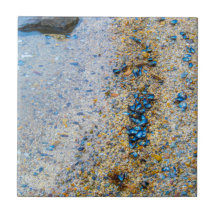 Cascas de mexilhão no Maine