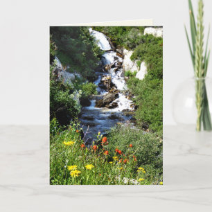 Cascata com flores selvagens, Cartão de Saudação d