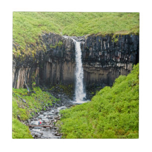 Cascata de Svartifoss em Skaftafall - Islândia