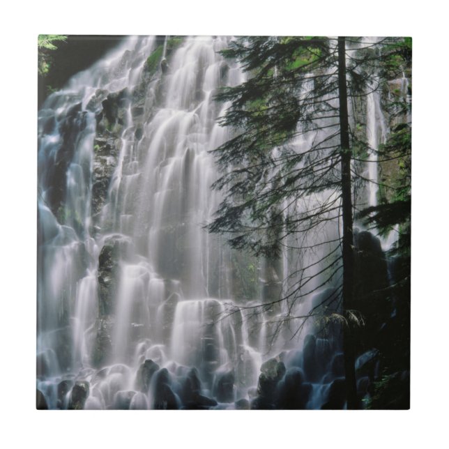 Cascata em floresta, Oregon (Frente)