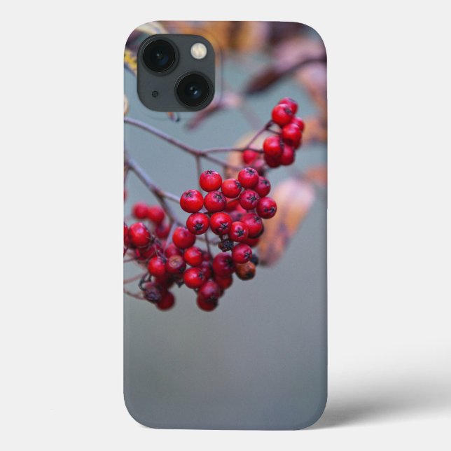 Case-Mate mal existe no caso do Apple iPhone 13 (Verso)