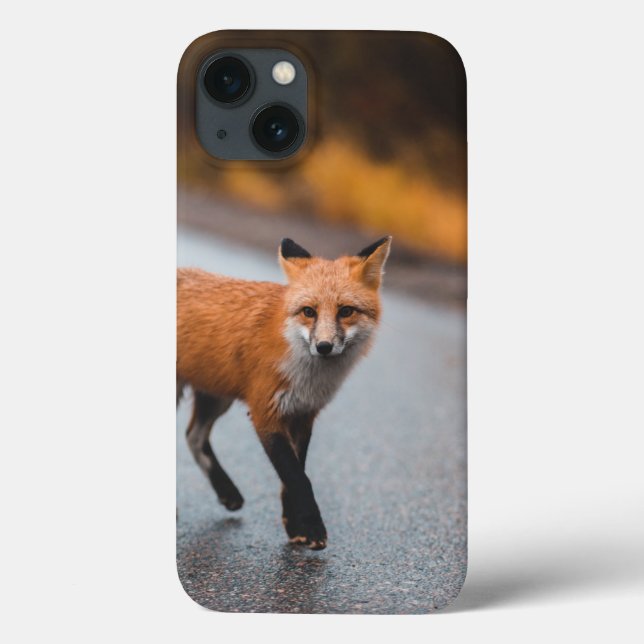 Case-Mate mal existe no caso do Apple iPhone 13 (Verso)