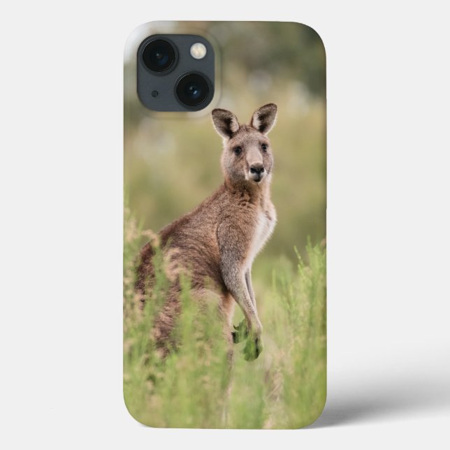 Case-Mate mal existe no caso do Apple iPhone 13 (Verso)