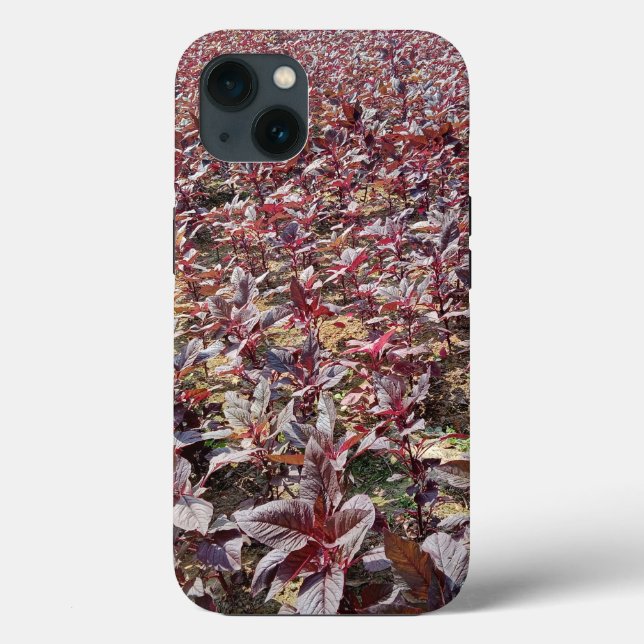Case-Mate Tough Apple iPhone 13 Case (Verso)