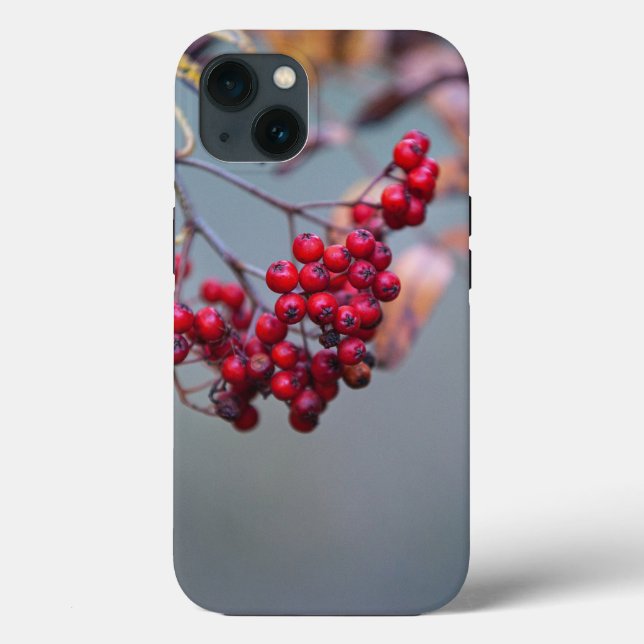 Case-Mate Tough Apple iPhone 13 Case (Verso)
