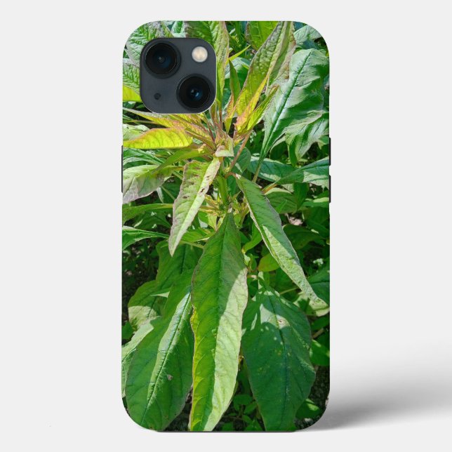 Case-Mate Tough Apple iPhone 13 Case (Verso)
