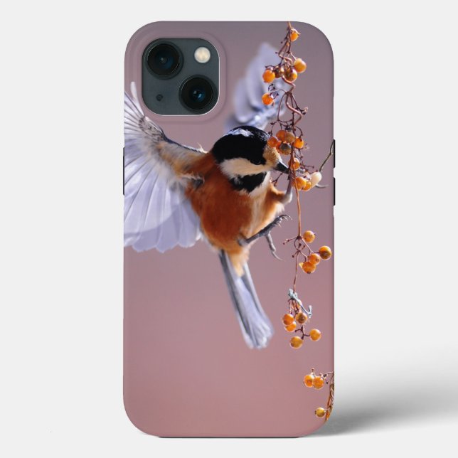Case-Mate Tough Apple iPhone 13 Case (Verso)