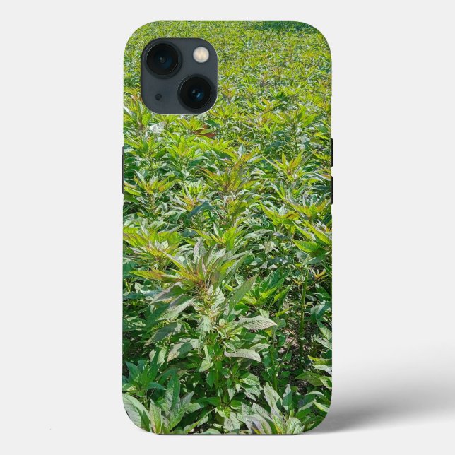 Case-Mate Tough Apple iPhone 13 Case (Verso)