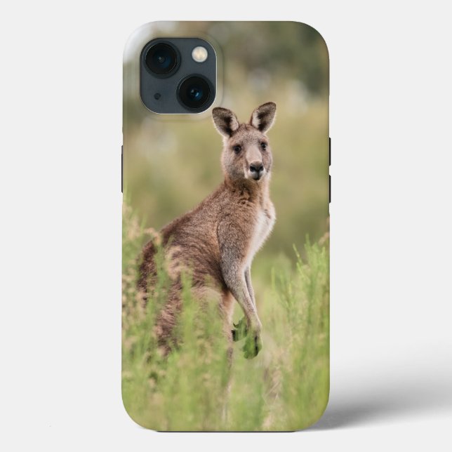 Case-Mate Tough Apple iPhone 13 Case (Verso)