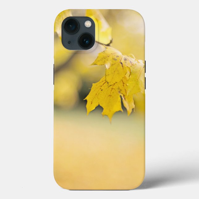 Case-Mate Tough Apple iPhone 13 Case (Verso)