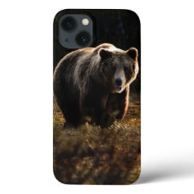 Caso Bear iPhone 13