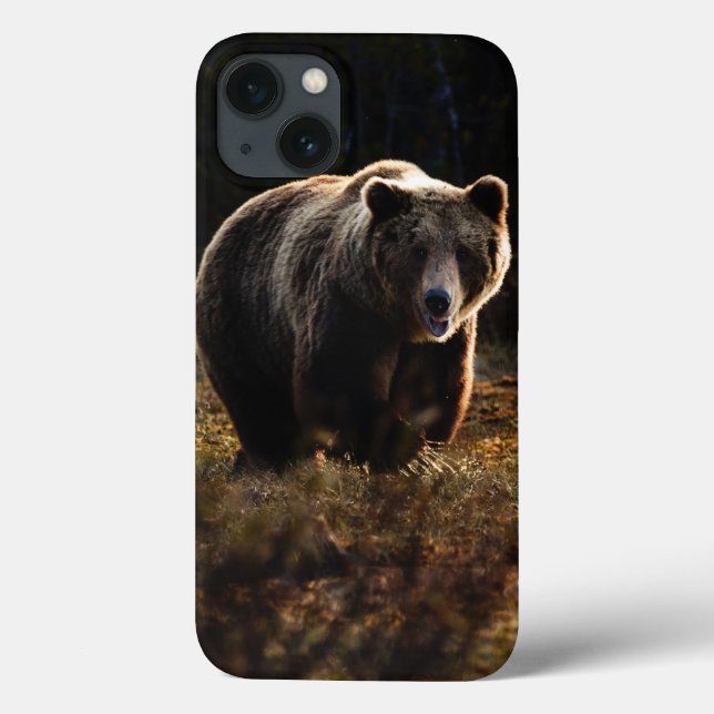 Caso Bear iPhone 13 (Verso)