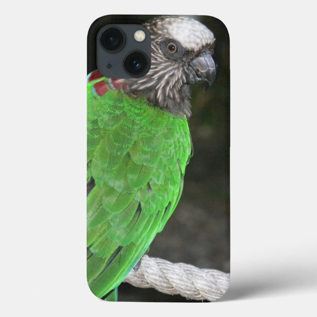 CASO "BRIGHT GREEN PARROT" PARA iPHONE 7 (Verso)