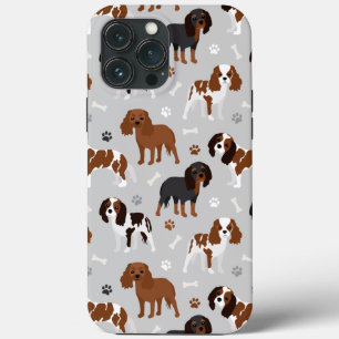 Caso Cavalier King Charles Spaniel Paws e Bones
