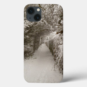 Caso de ar iPad do Caminho de Neve
