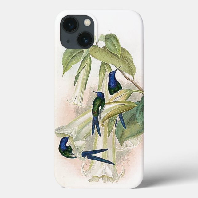 Caso de Aves do Hummingbird iPhone 6 (Verso)