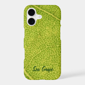 Caso de Folha de Uva do Mar Verde iPhone 11