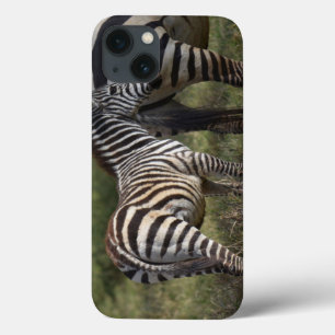 Caso do Baby Zebra iPad Mini
