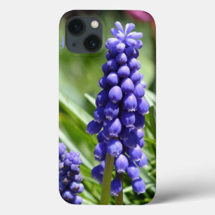 Caso do iPad do Muscari (jacinto de uva)