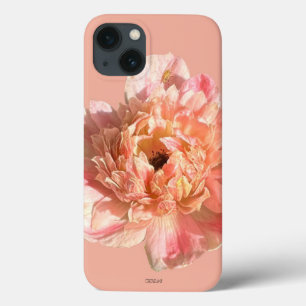 Caso do iPhone 13
