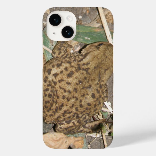 Caso do iPhone 5 de Toad Comum Europeu (Verso)