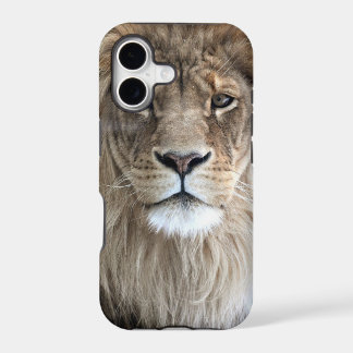 Caso do iPhone 5 do rei do leão