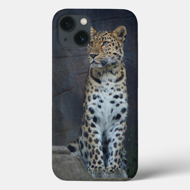 Caso do iPhone 6 do leopardo de Amur (Verso)