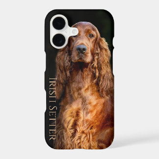 Caso do iPhone/iPad do Irish Setter