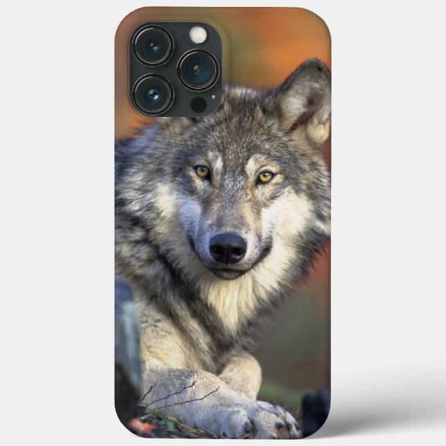 Caso do Wolf Wisdom iPhone/iPad (Verso)